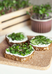 Close-up three homemade toasts on brown bread with home grown organic micro greens and cream cheese at kitchen