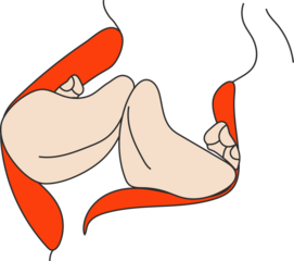 Hand drawn  abstract graphic illustration Valentines day design elements, abstract two kissing lips together. Love design concept outline icon