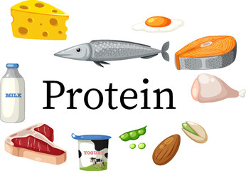 Foods surrounding protein text