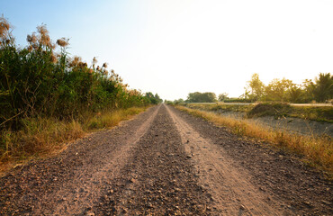 Fototapeta na wymiar Straigth dirt road with sunrise background.