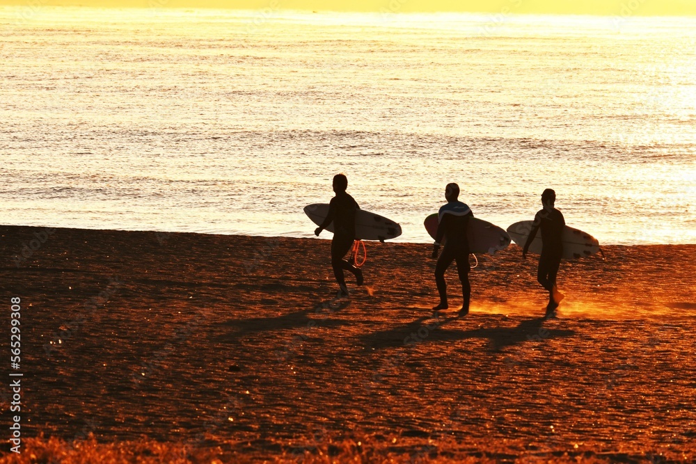 Poster Surfers on the beach at dawn in winter.