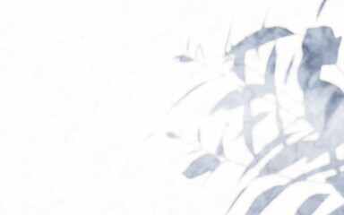 Obraz premium background with white shadow