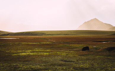 Obraz premium landscape of Iceland