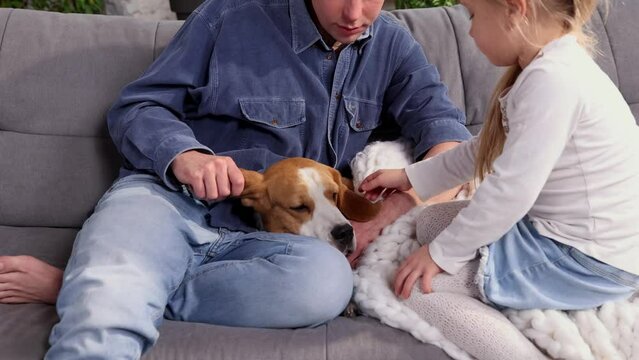 Happy family cuddling their dog beagle, having fun together in room. Concept of pets, parenthood, love for animals. Dad and daughter sitting on the sofa at home, playing and relaxing. Friendship