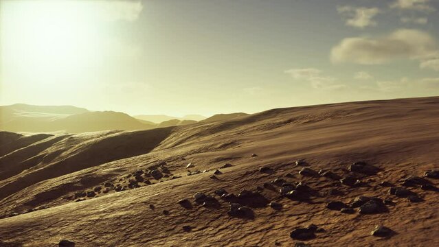 Beautiful sand dunes in the Sahara desert at sunset