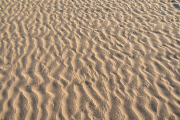 Fototapeta na wymiar Grooves in the sand draw a pattern