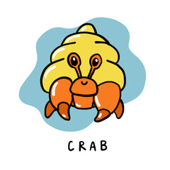 Cute hermit crab