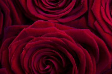 Valentines day. Bunch of roses on the bokeh background. 