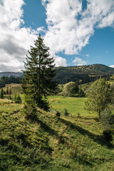 Fototapeta na wymiar Beautiful mountain landscape panorama view with coniferous forest on a mountain range with forested hillsides, meadows covered with grass, clouds in the blue sky on a sunny day. Ecotourism