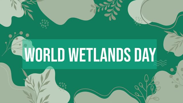 World Wetlands Day animated video for international Wetlands Day.