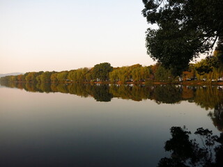 Obraz premium reflection of trees on the lake