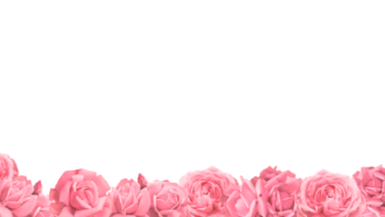 Valentines Day. Roses frame border isolated on a transparent background. Romantic rose set for valentine day and love illustration.