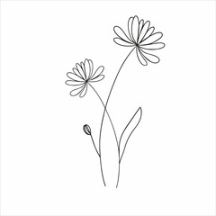 Black line silhouette of flower, vector, transparent background