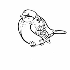 Bird, sparrow, black and white linear drawing for coloring