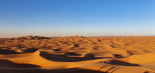 Fototapeta na wymiar Sand dunes in Dubai desert, UAE