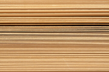 Horizontal edges of paper book sheets close-up