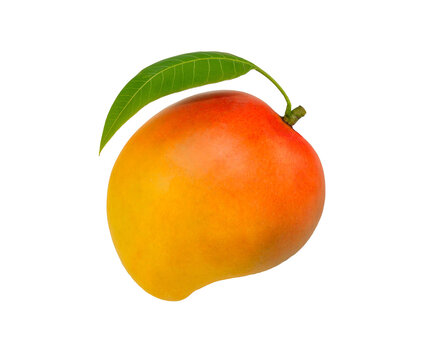 Mango fruit with mango cubes and slices. Isolated on a white background. The collection mango