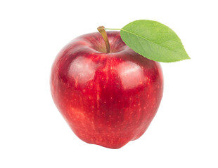 Ripe red apple fruit and green apple leaf isolated on white background. Apples and leaf. full depth of field.