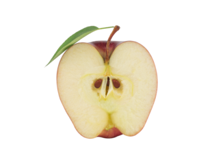 Ripe red apple fruit with apple half and green apple leaf isolated on white background. Apples and leaf. full depth of field.
