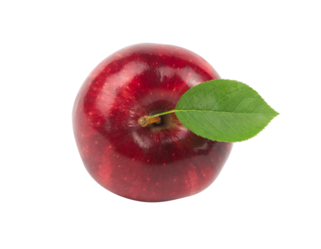 Ripe red apple fruit and green apple leaf isolated on white background. Apples and leaf. full depth of field.