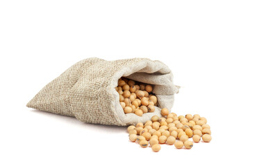 Soybeans in a sack bag isolated on white background
