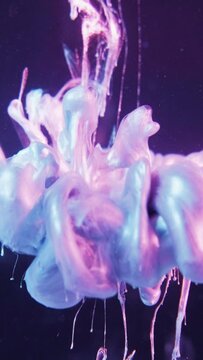 Vertical video. Paint drop. Ink water. Smoke cloud. Blue pink purple neon color light shiny fluid splash motion on glass cube edge abstract background.
