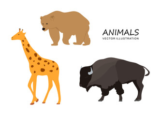 Set of Animals in flat style. Giraffe, Bison, Bear illustration. Collection of animals vector