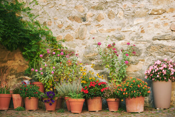 Many potted colorful plants outside next to old stone facade