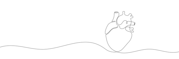 Continuous line human heart silhouette on white background