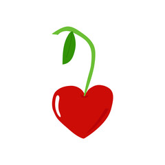 valentines day hearth shaped red  cute cherry