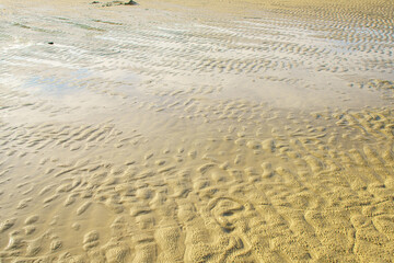 Natural background texture of frozen sand.