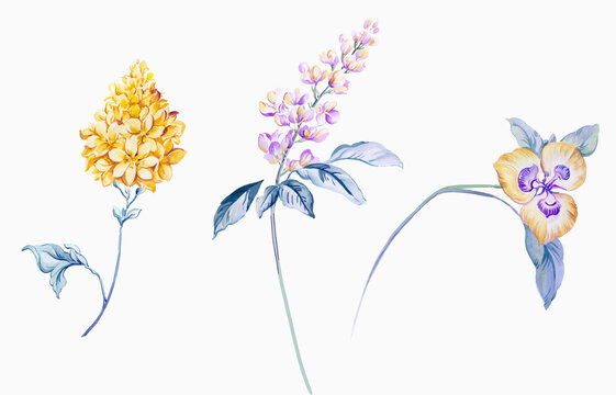 Flowers watercolor illustration. Manual composition.Design for cover, fabric, textile, wrapping paper .