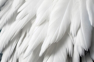 White Swan Feathers Background, Goose Plume Pattern, Generative Ai Illustration