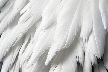 Obraz premium White Swan Feathers Background, Goose Plume Pattern, Generative Ai Illustration