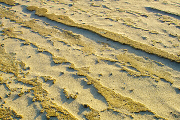 Natural background texture of frozen sand close-up.