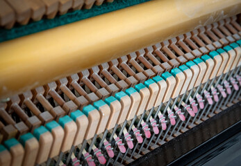 Details of piano mechanism gavel - string, pins and hammers