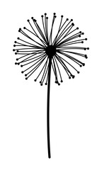 Dandelion Flower Silhouette Black Icon Vector Illustration