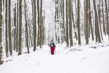 Familie macht im Schnee ausflug