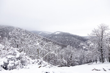 Schnee in den Bergen im Winter
