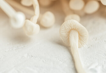 Fototapeta na wymiar White enoki mushrooms close-up. Abstract composition, selective focus