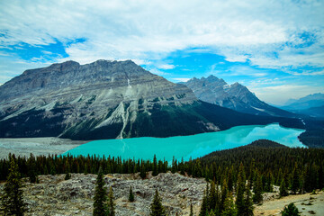 View of Peyto Lake