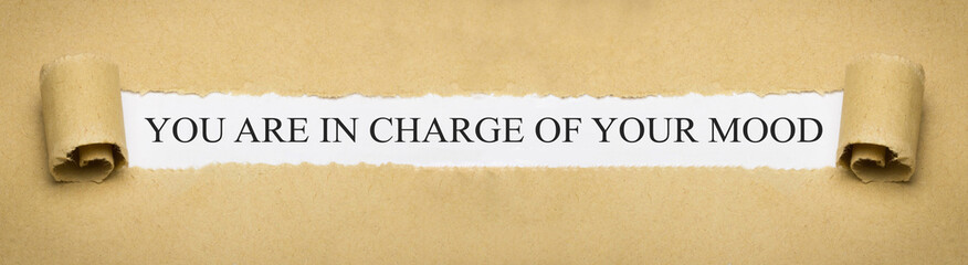you are in charge of your mood