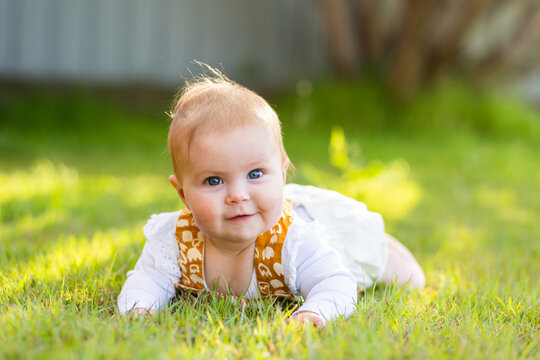 Happy seven month old baby on tummy on grassy lawn outside in spring