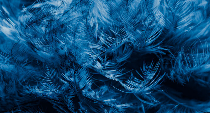 blue feathers of the owl with visible details © Krzysztof Bubel