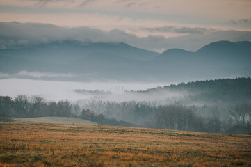 Fototapeta premium The autumn meadow is a sight to behold, as the mist rolls in to cloak the landscape in a soft and ethereal glow. The vibrant colors of the trees and grasses are made even more striking by the mist,