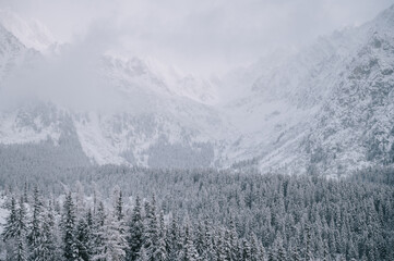 Snow-Capped Peaks of the High Tatras
