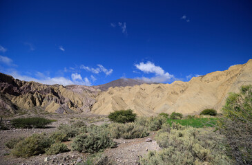 Fototapeta na wymiar Typical landscape of North West Argentina
