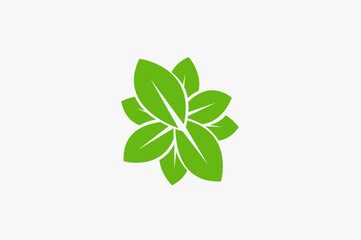 Illustration vector graphic of green leaf 