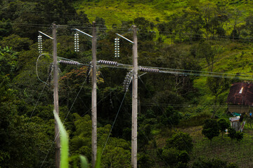 power line through a forest