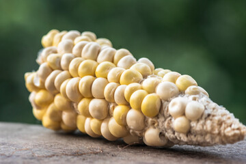 Corn on the cob close-up